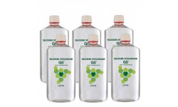Silicium organique G5® - 6 bouteilles de 1L