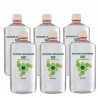 Pack G5 6 x 1 Litre