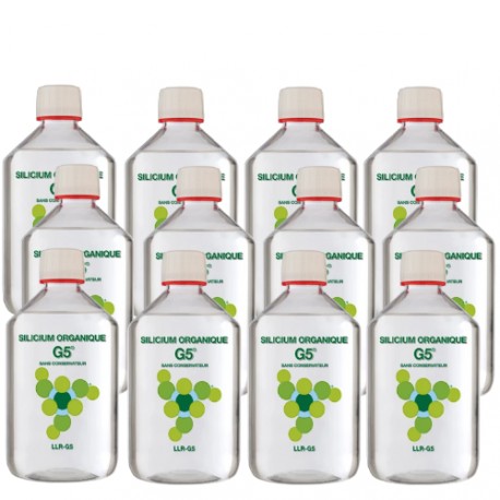 Silicium organique G5® - 12 bouteilles de 500ml 